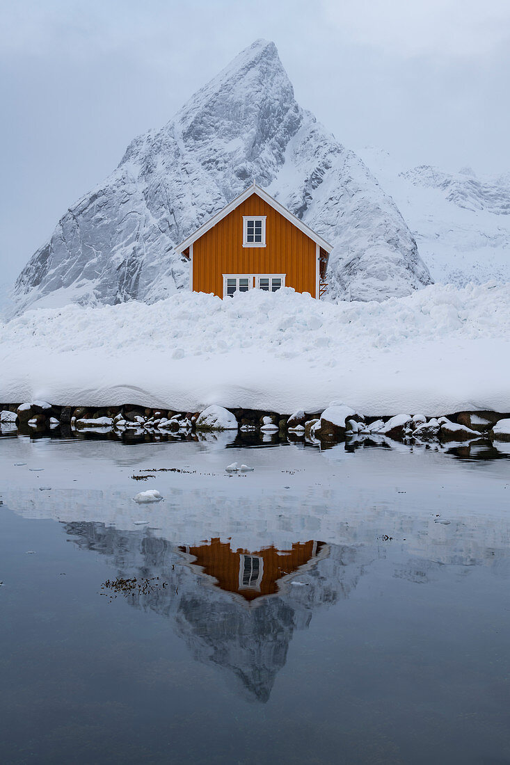 Gelbe Fischerhütte (Rorbu) spiegelte sich im Winter, Sakrisoy, Moskenesoya, Lofoten-Inseln, Nordland, Arktis, Norwegen, Europa wider
