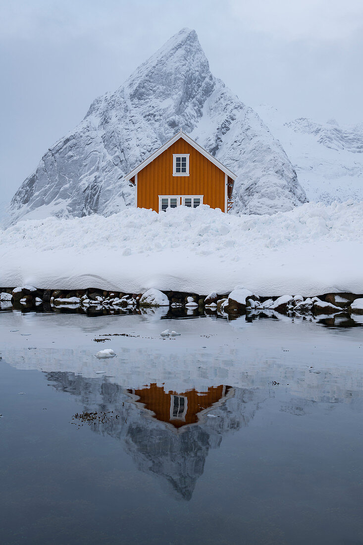 Yellow rorbuer hut reflected in winter, Sakrisoy, Moskenesoya, Lofoten Islands, Nordland, Arctic, Norway, Europe