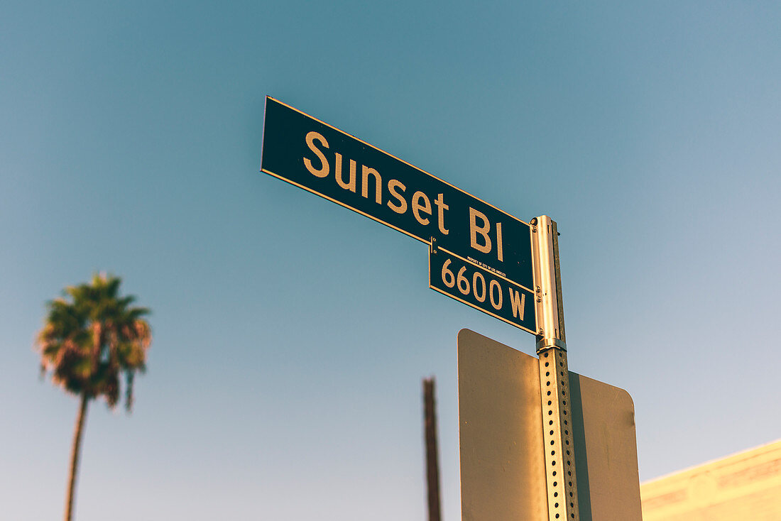 A close up of a road sign pointing to Sunset Boulevard in Los Angeles, California, United States of America, North America
