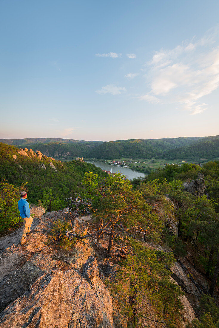 Hikers, Wachau, view towards Dürnstein, Danube, Lower Austria, Austria