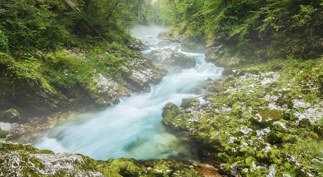 Radovna River, Vintgar Gorge, Slovenia, Europe