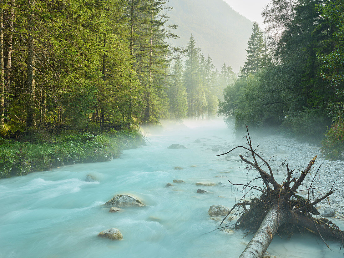 Triglavska Bistrica River, Triglav National Park, Slovenia, Europe