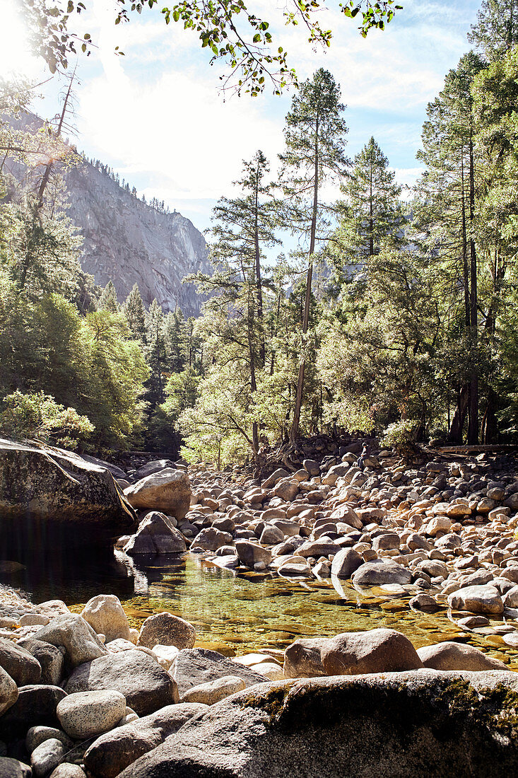 Calm Merced River in Yosemite Park. California, United States.