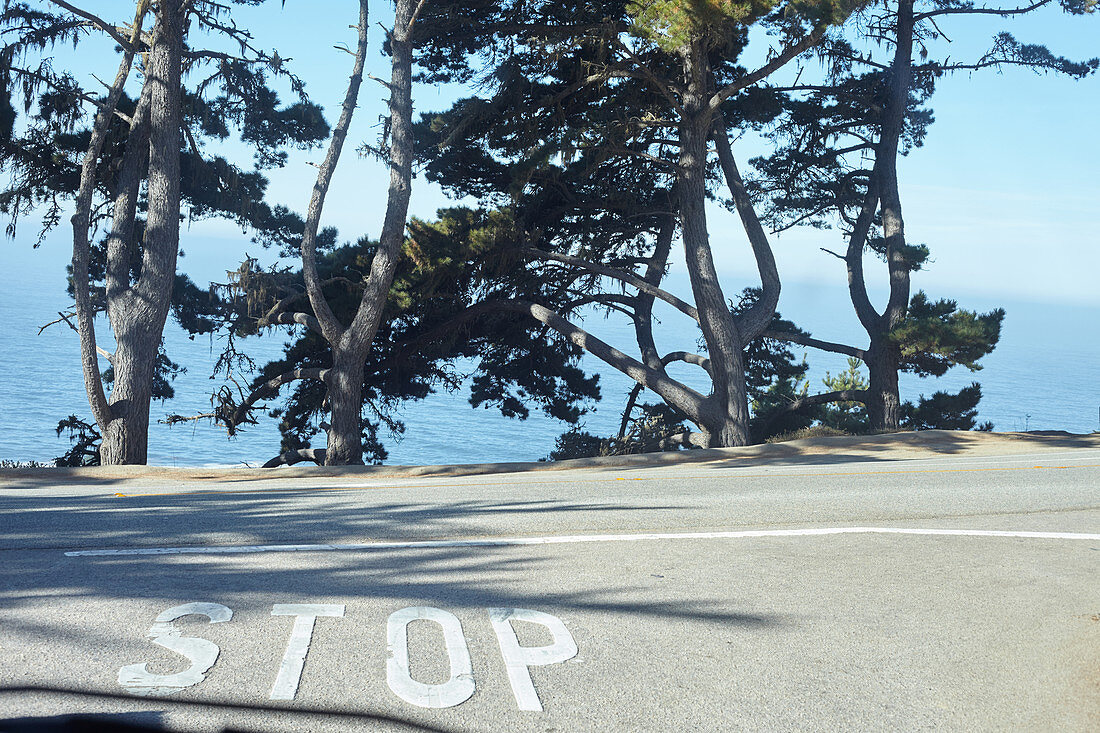 Verkehrs-Stop vor ein paar Bäumen und einem Abgrund am Meer, Big Sur, Kalifornien, USA