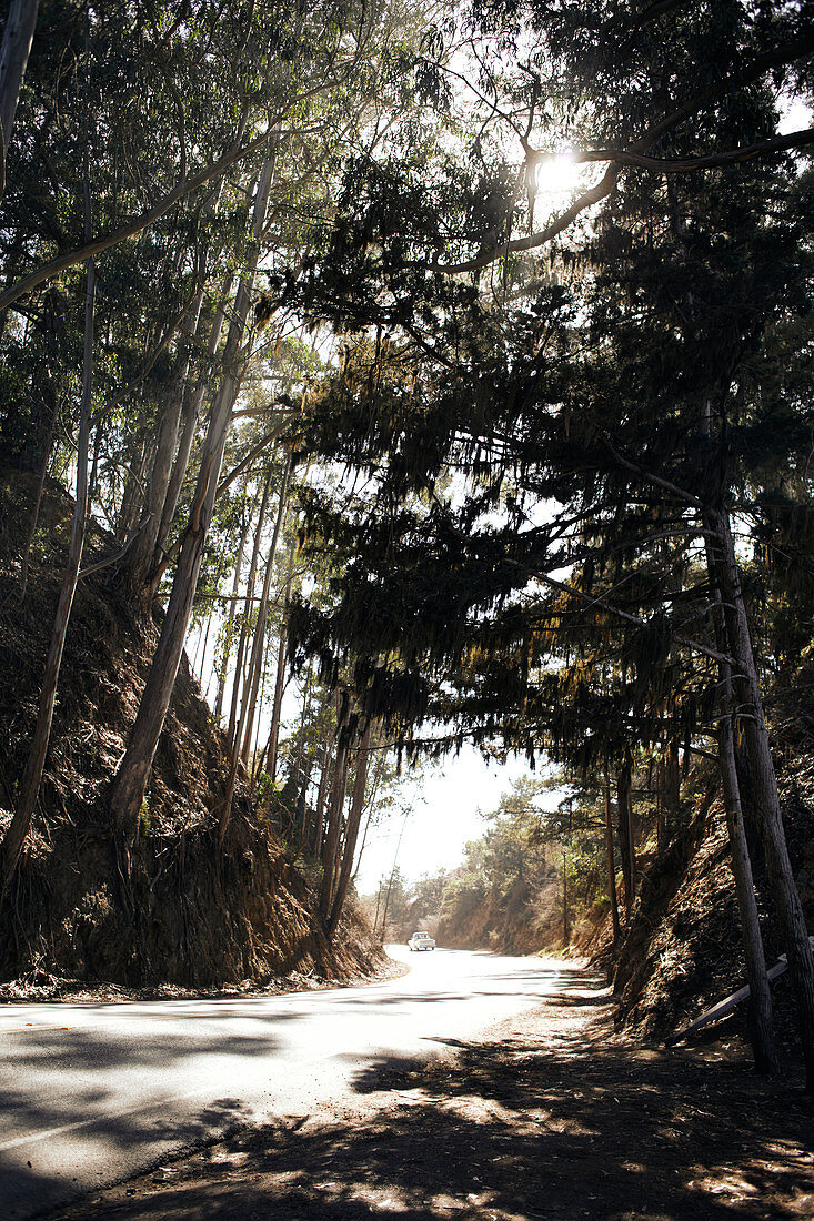 Road turn by car in forested terrain. Big Sur, California, USA
