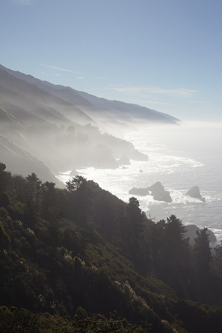 Coastal panorama in the fog. Highway 1, California, USA