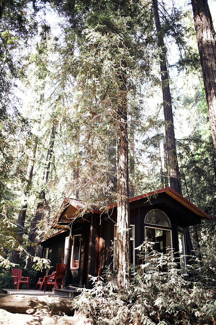 Cottage in Yosemite Park. California, United States.