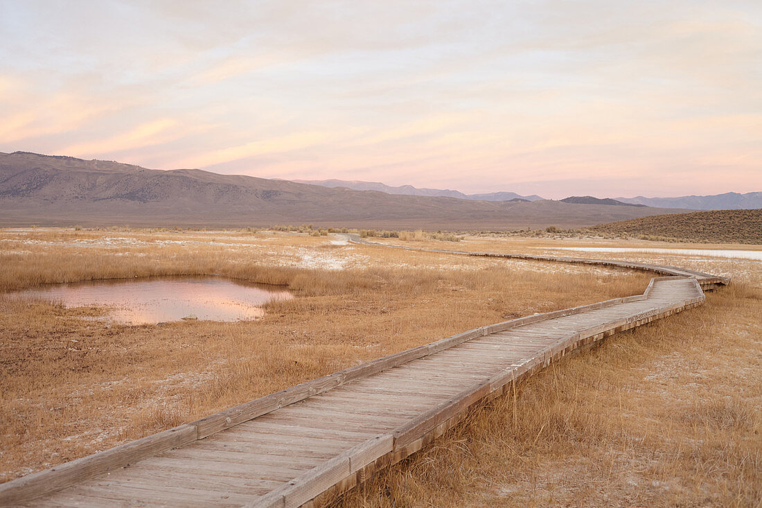 Path through steppe landscape at dusk in the Eastern Sierra, California, USA