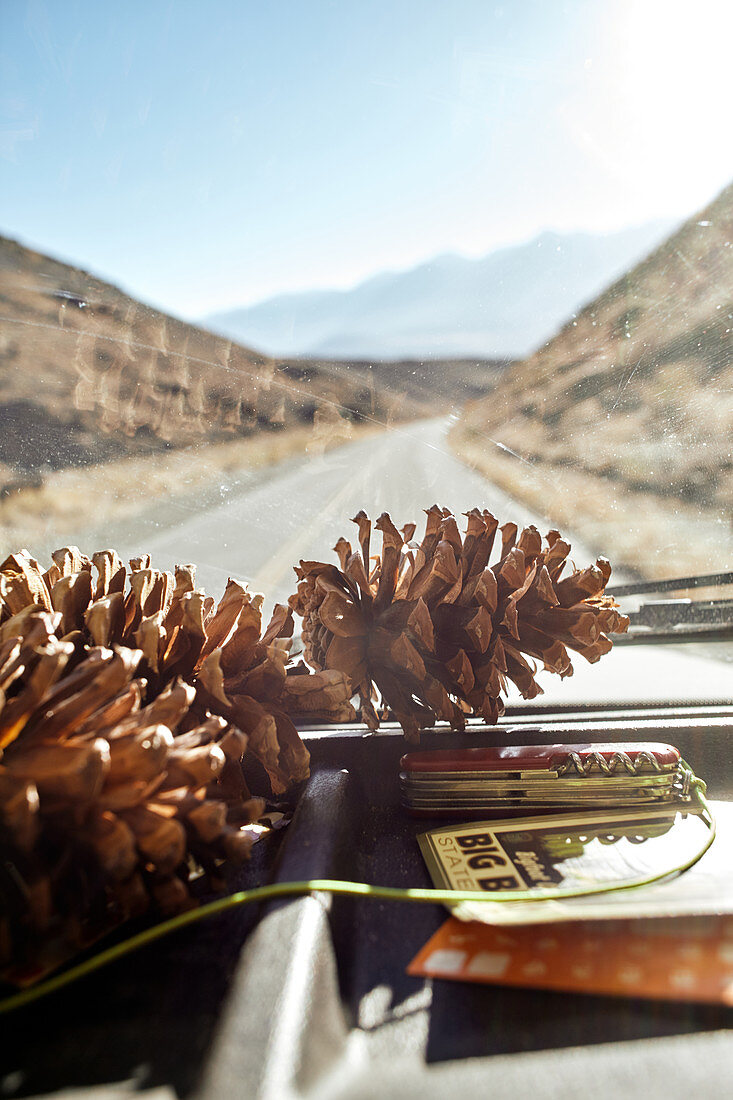 Pine cone in front of windshield. Drive through the Eastern Sierra, California, USA