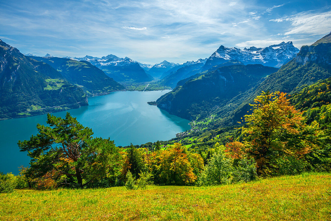 Blick auf den Vierwaldstätter See und die Glarner und Urner Alpen, Kanton Uri, Schweiz