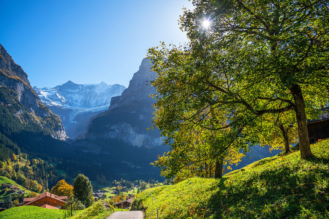 Blick zum Fiescherhorn, Grindelwald, Berner Oberland, Kanton Bern, Schweiz