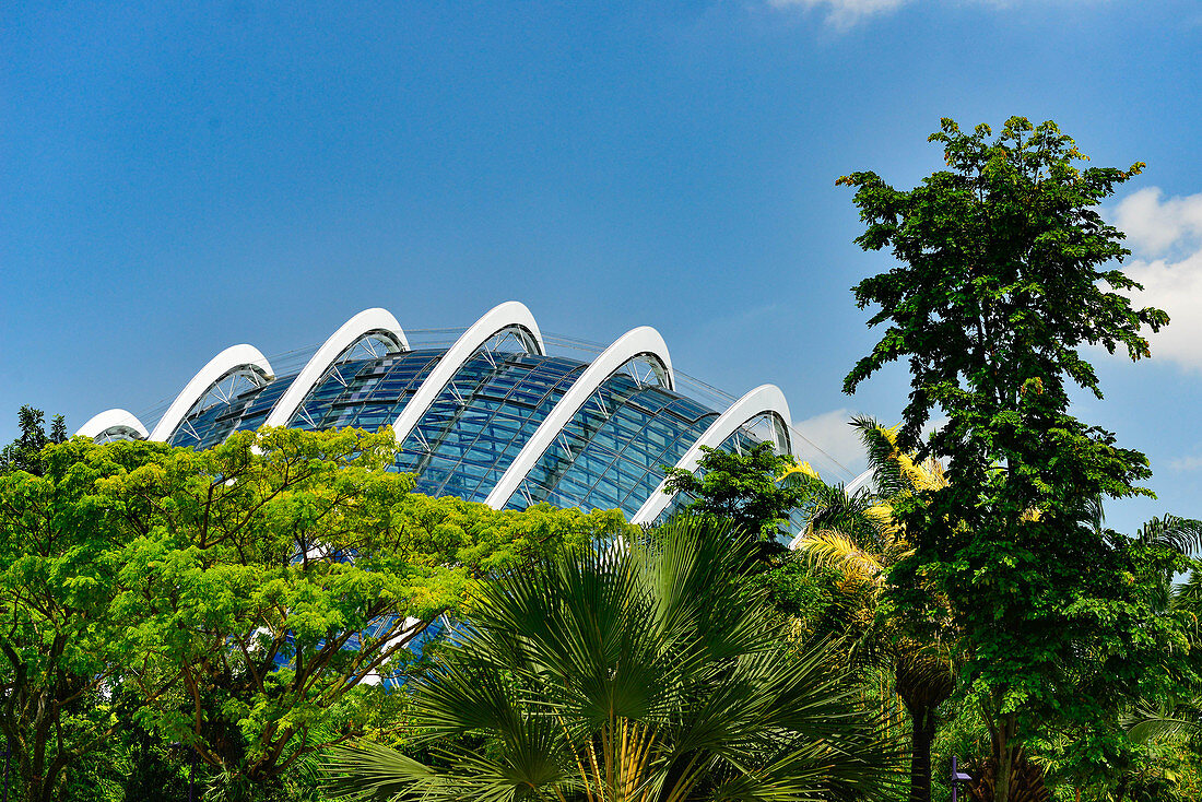 Außenansicht der Gardens by the Bay, mit tropischer Vegetation, Singapore