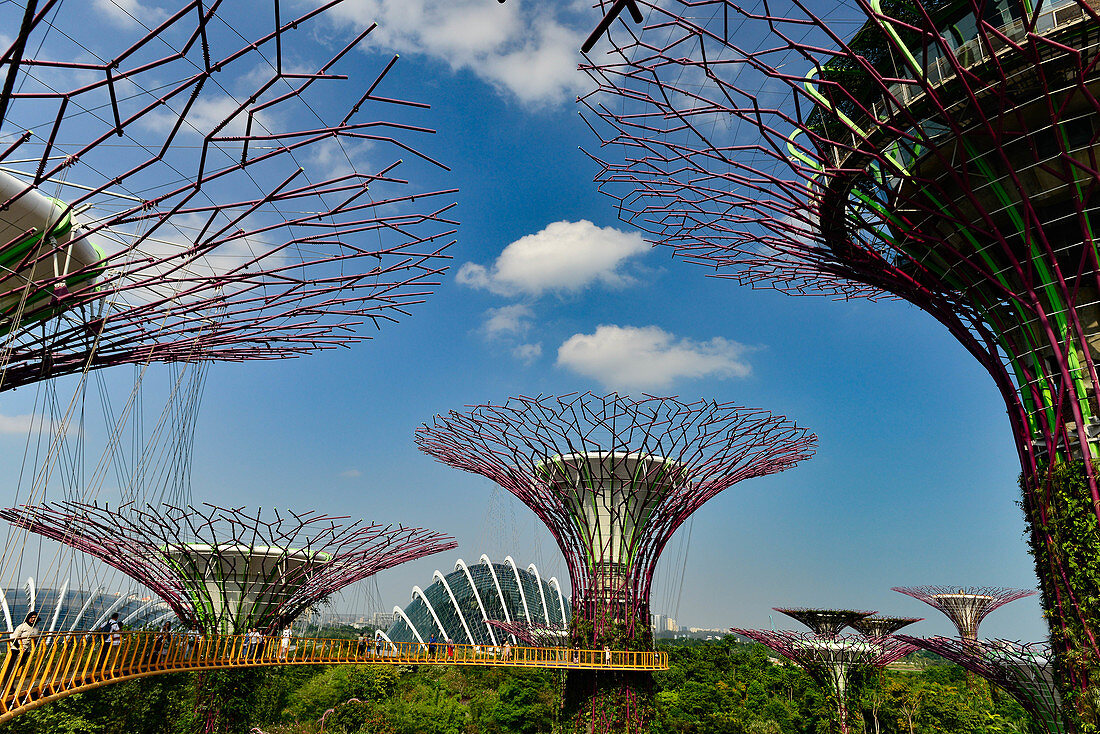 Gewächshaus, Türme und begehbare Plattform des Gardens by the Bay, Singapore