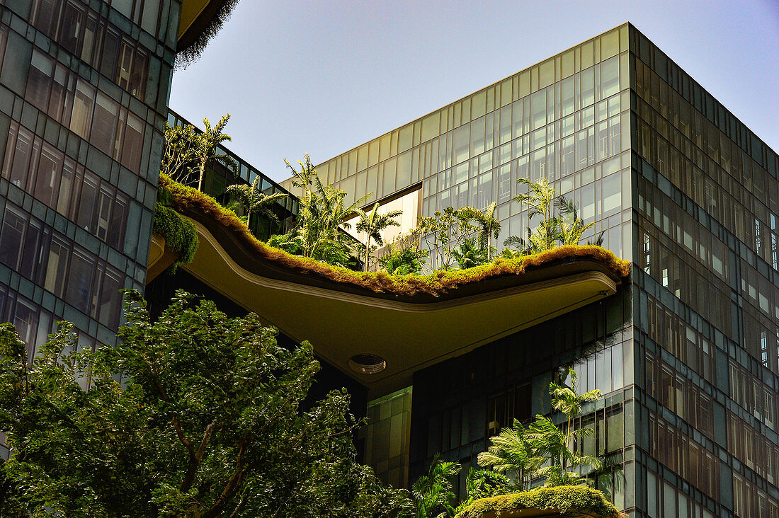 Mit Palmen und Tropenpflanzen begrünte Terrassen eines Wolkenkratzers, Singapore