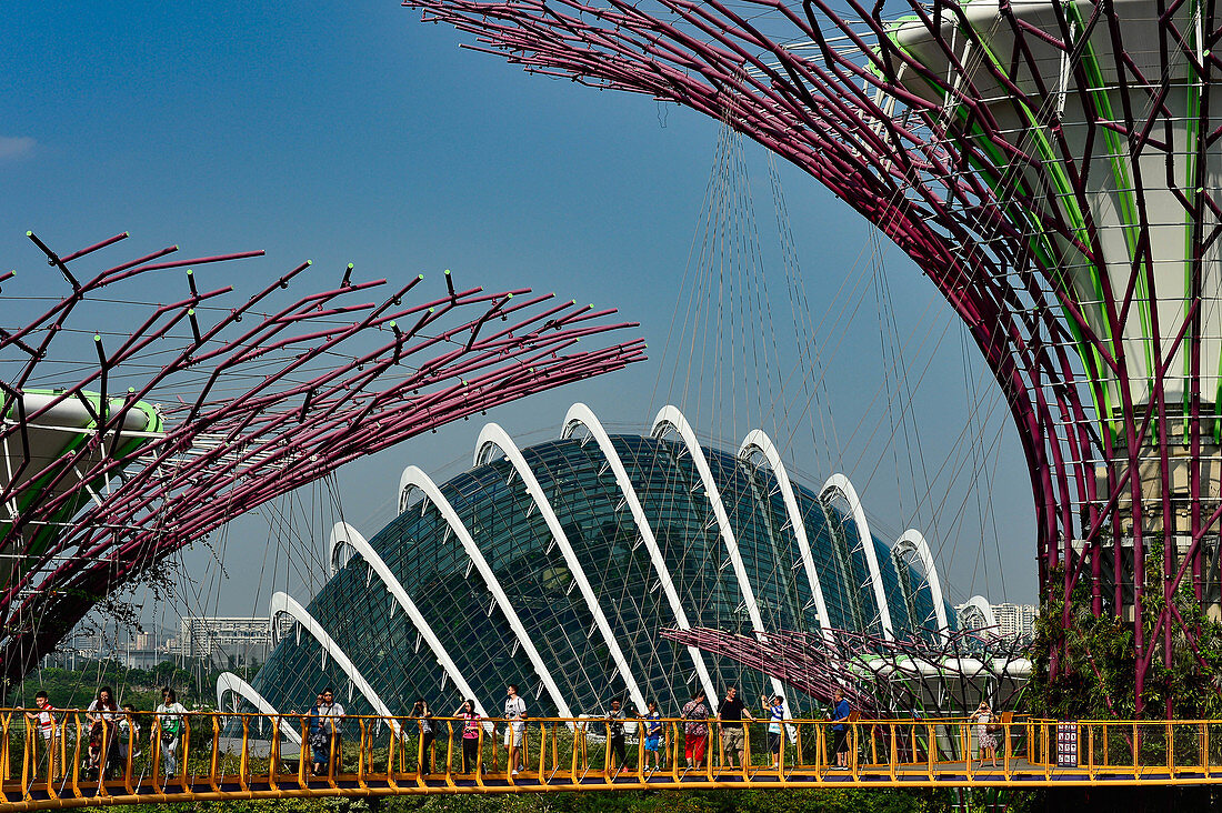 Walk-in platform at the towers of Gardens by the Bay, Singapore