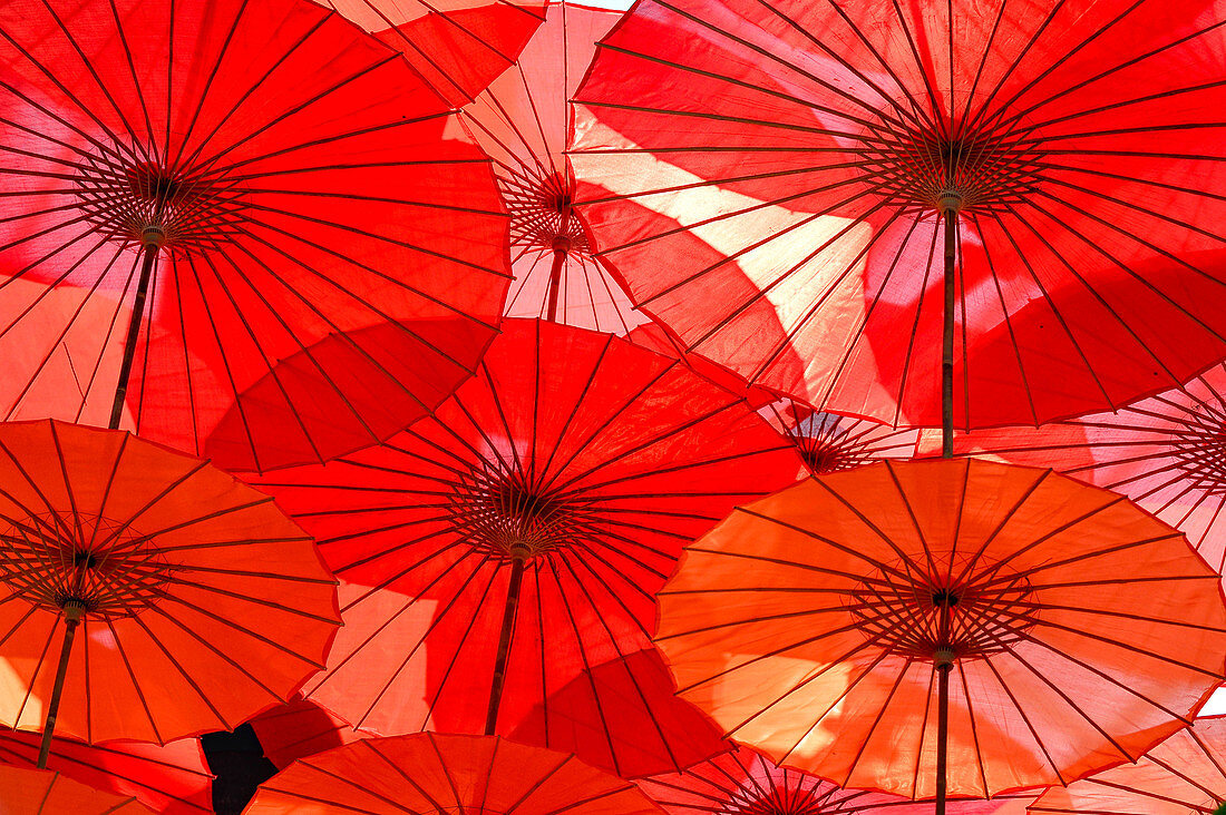 Rote Sonnenschirme als Dekoration und Lichtspiel, Gardens by the Bay, Singapore
