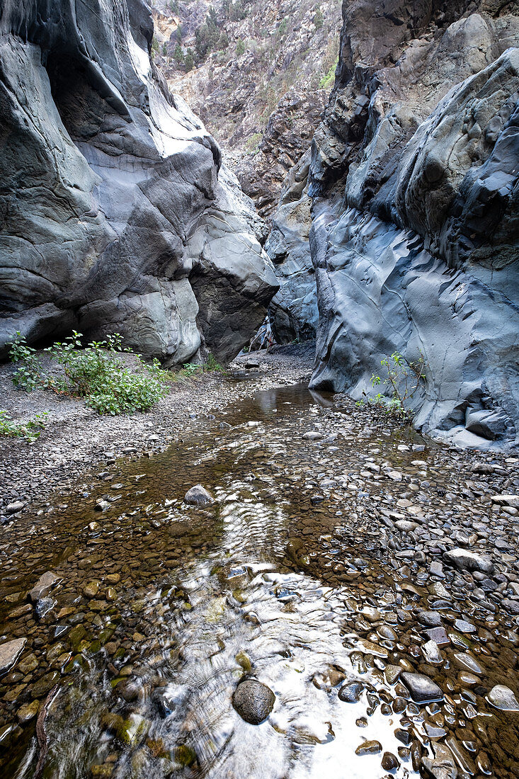 Fluss und Schlucht entlang des Rio de Taburiente, Caldera de Taburiente, La Palma, Kanarische Inseln, Spanien, Europa