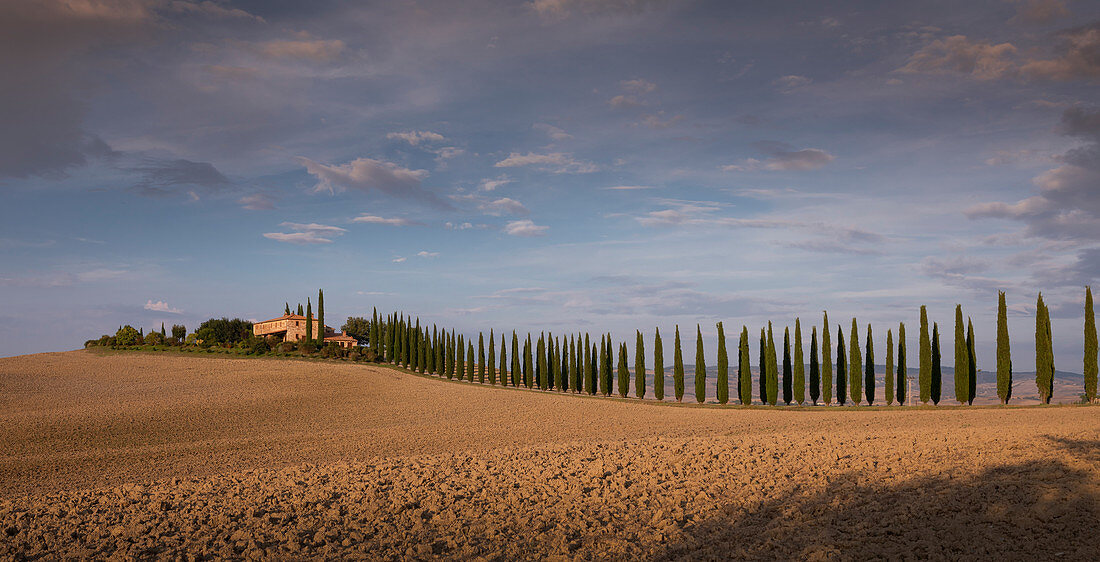 Allee aus Zypressen zum Agriturismo Poggio Covili in der Toskana im Sonnenuntergang, Italien \n