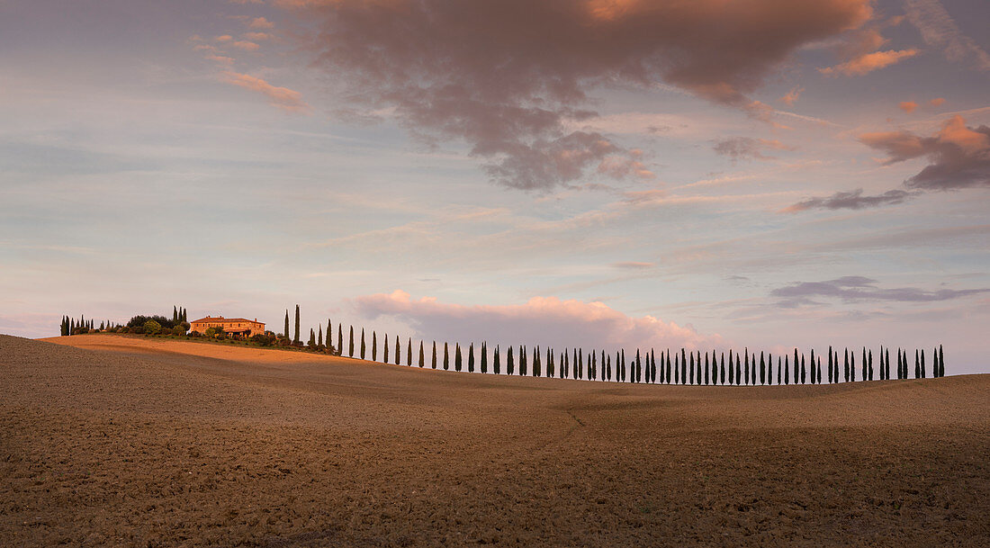 Allee aus Zypressen zum Agriturismo Poggio Covili in der Toskana im Sonnenuntergang, Italien \n