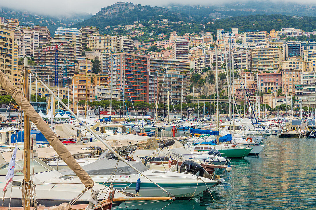 Monaco Port, Port Hercule in Monte Carlo, Monaco, Cote d'Azur, French Riviera, Mediterranean, France, Europe