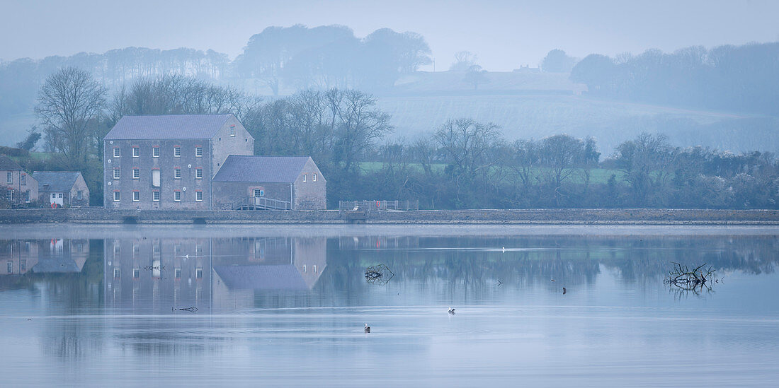 Carew Tidal Mill, on a misty Spring morning, Pembrokeshire, Wales, United Kingdom, Europe