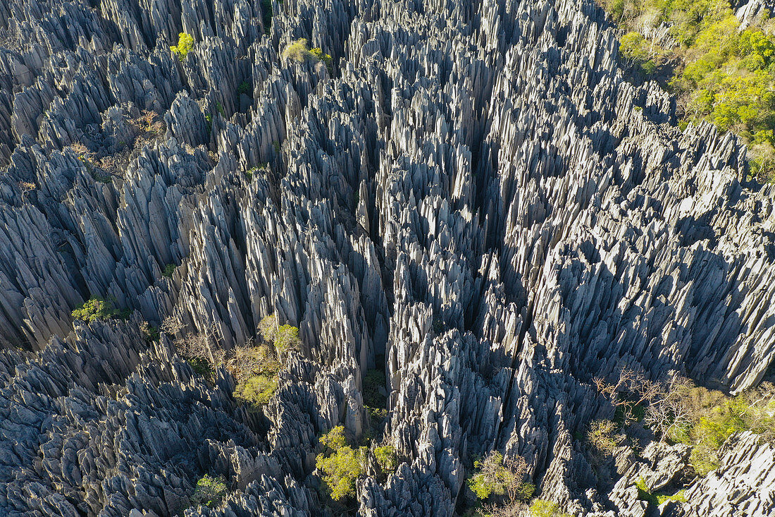 Die Karst-Kalksteinformation im Nationalpark Tsingy de Bemaraha, UNESCO-Weltkulturerbe, Region Tsiribihina, Madagaskar, Afrika