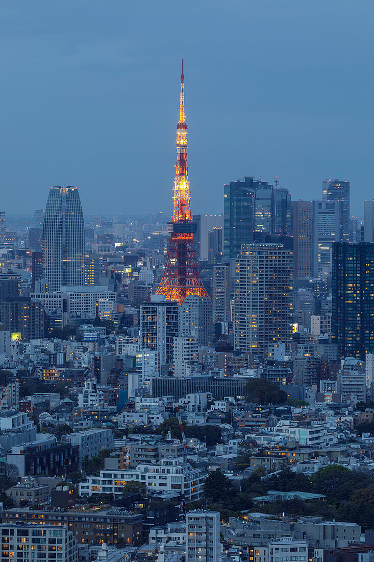 The Tokyo Tower in central Tokyo, Japan, Asia