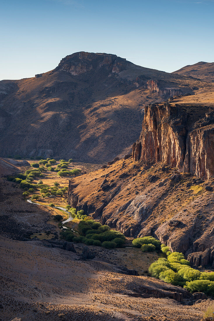 Baumgesäumter Fluss in Pinturas Canyon, Patagonien, Argentinien, Südamerika