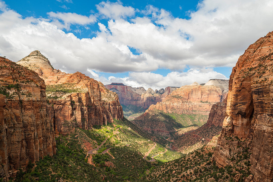 Canyon overlook in Zion National Park, Utah, United States of America, North America