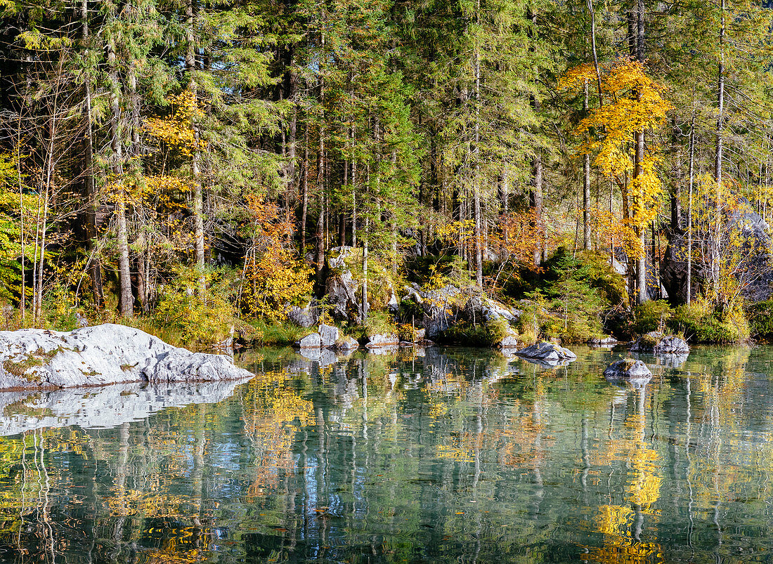 Hintersee im Herbst, Berchtesgaden, Bayern, Deutschland