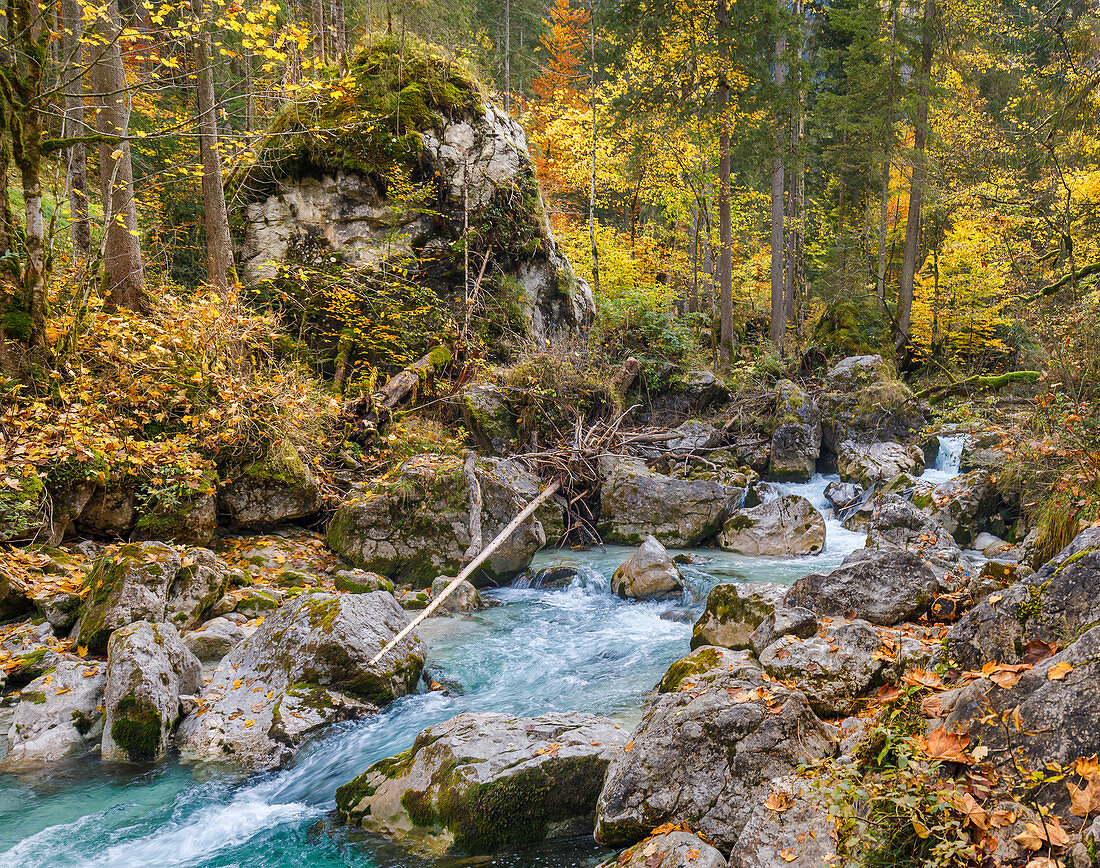 Die Ramsau im Zauberwald im Herbst, Hintersee, Berchtesgaden, Bayern, Deutschland