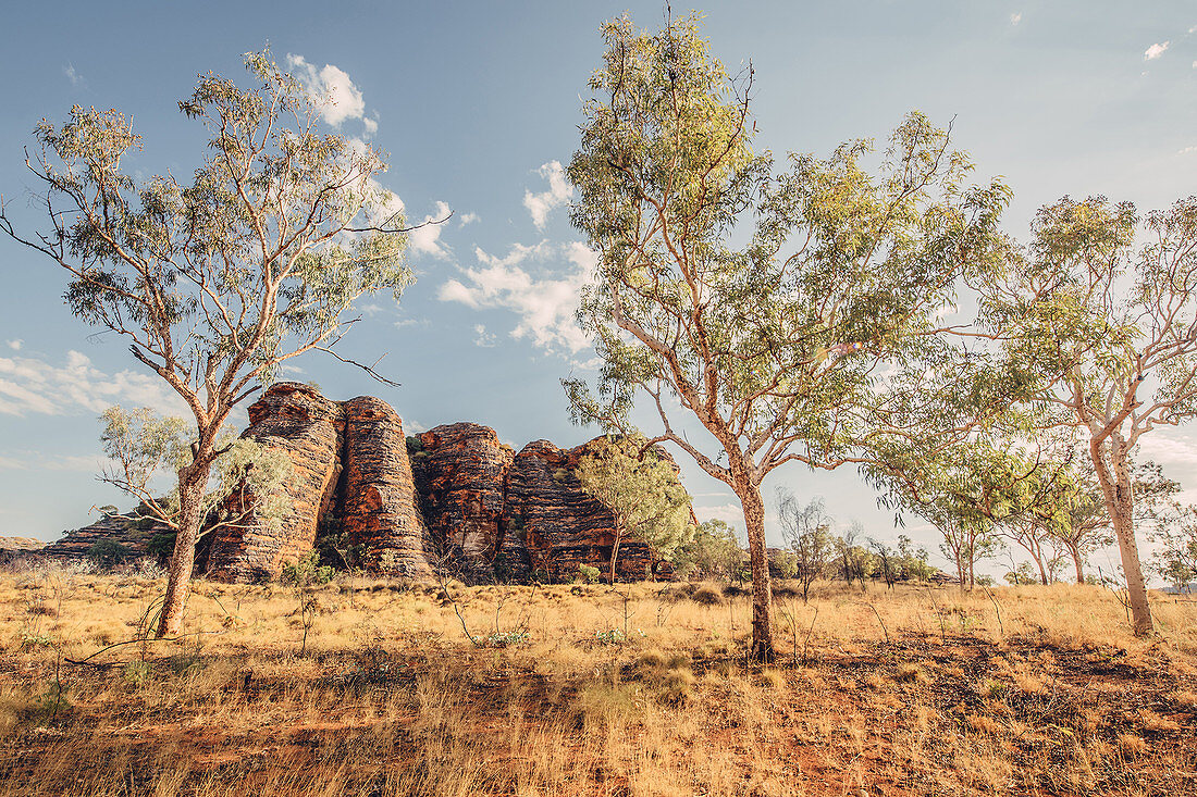 Rocks in Purnululu National Park, Bungle Bungle, Kimberley Region, Western Australia, Oceania,