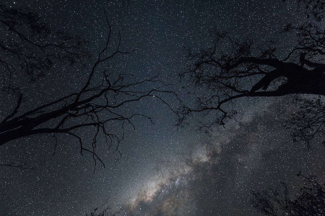 Nachthimmel bei den Edith Falls im Nordesten von Australien, Kathrine, Northern Territory, Outback, Australien