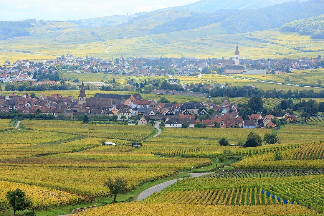 Frankreich, Haut-Rhin, Route des Vins d'Alsace (Elsässer Weinstraße), Niedermorschwihr und Ammerschwihr, Gesamtansicht der Dörfer und des Weinbergs