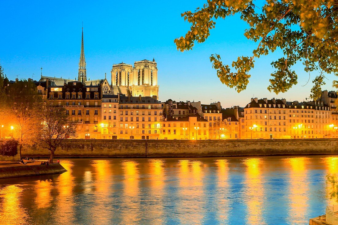 France, Paris, the banks of the Seine listed as World Heritage by UNESCO, the Notre Dame Cathedral on the Ile de la Cite