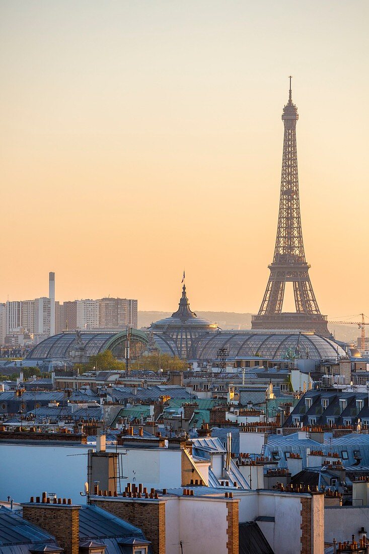 Frankreich, Paris, das Glasdach des Grand Palais und der Eiffelturm