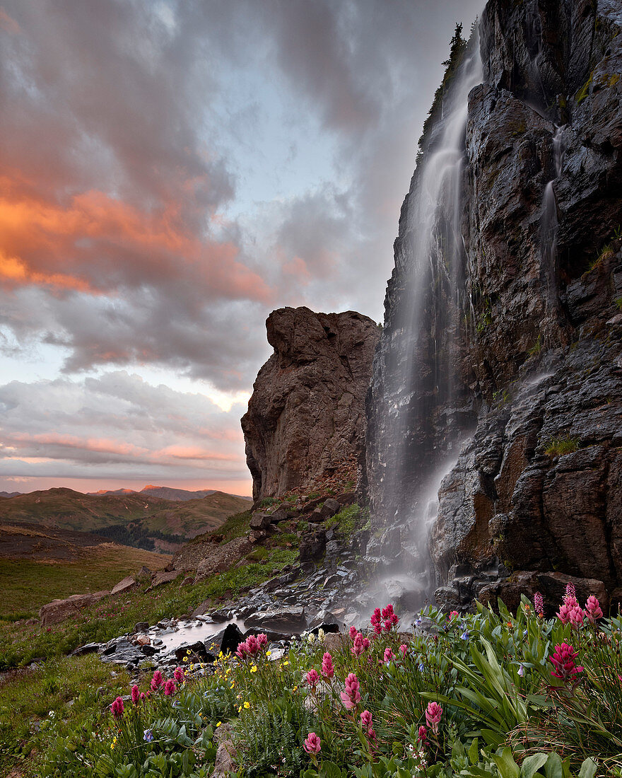Wasserfall mit Wildblumen bei Sonnenuntergang, San Juan National Forest, Colorado, Vereinigte Staaten von Amerika, Nordamerika