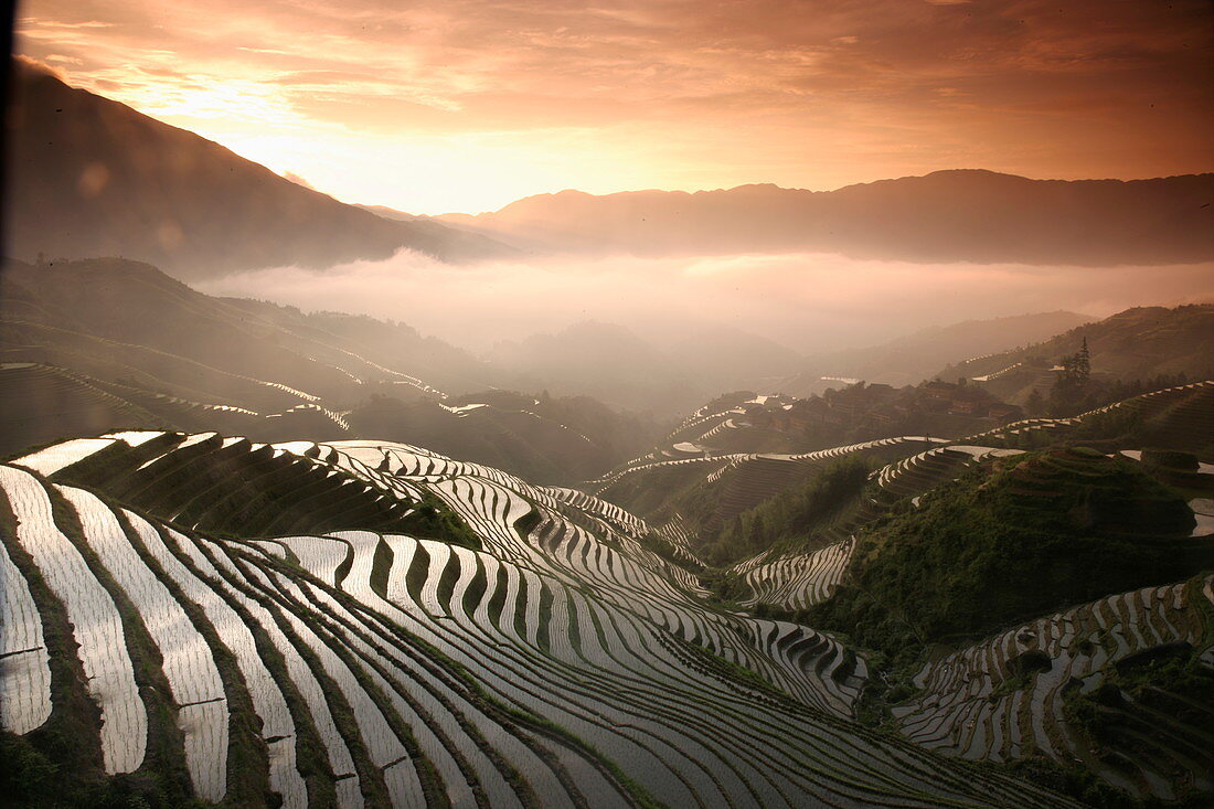 Terrassierte Reisfelder von Longsheng, Provinz Guangxi, China, Asien