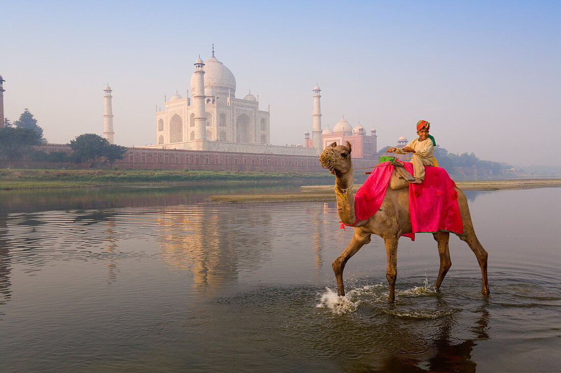 Junge reitet auf Kamel im Yamuna-Fluss vor dem Taj Mahal, UNESCO-Weltkulturerbe, Agra, Uttar Pradesh, Indien, Asien