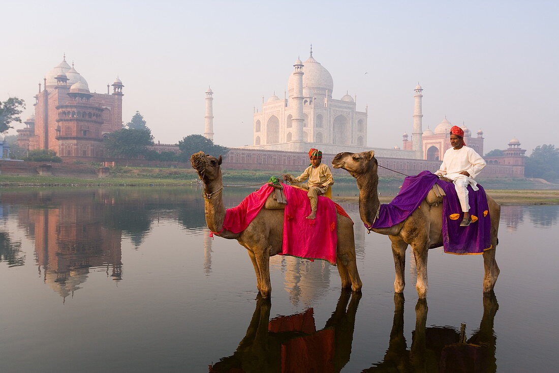 Man and boy riding camels in the Yamuna River in front of the Taj Mahal, UNESCO World Heritage Site, Agra, Uttar Pradesh, India, Asia 