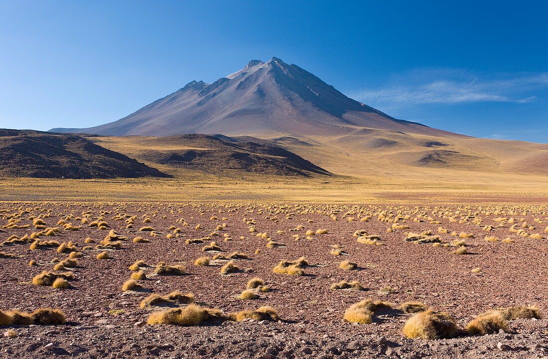 Der Altiplano auf einer Höhe von über 4000 m und der Gipfel des Cerro Miniques auf 5910 m, Los Flamencos National Reserve, Atacama-Wüste, Antofagasta-Region, Norte Grande, Chile, Südamerika
