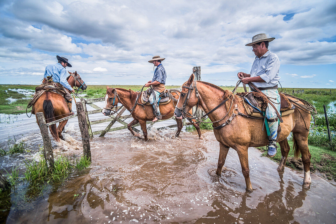 Gauchos auf einer traditionellen argentinischen Rinderfarm, Estancia San Juan de Poriahu, Ibera-Feuchtgebiete, Provinz Corrientes, Argentinien, Südamerika