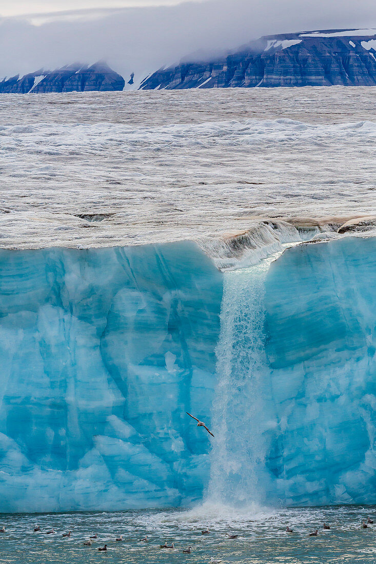 Negribreen (Negri Glacier), Olav V Land, Spitsbergen, Svalbard Archipelago, Norway, Scandinavia, Europe 