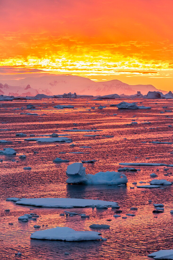 Sunset over ice floes and icebergs, near Pleneau Island, Antarctica, Southern Ocean, Polar Regions