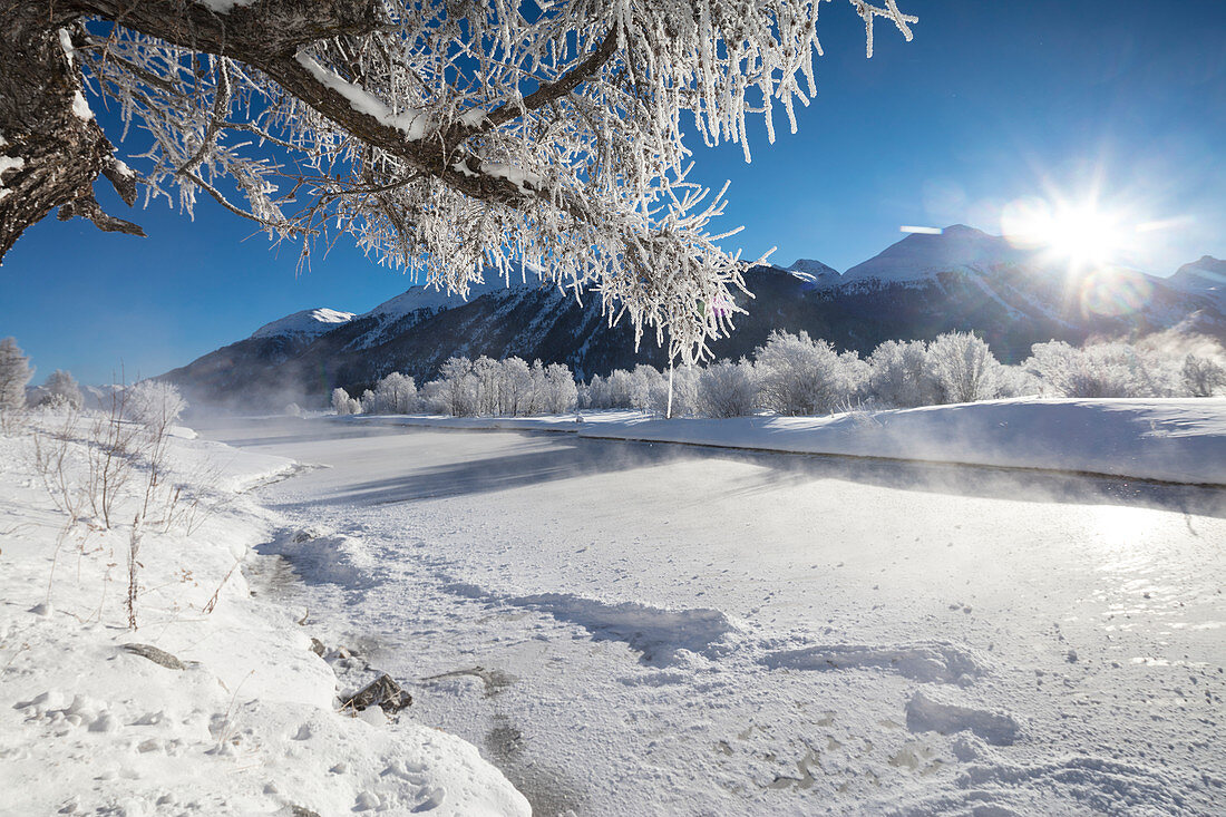 Frost on trees frame the snowy landscape and frozen river, Inn, Celerina, Maloja, Canton of Graubunden, Engadine, Switzerland, Europe