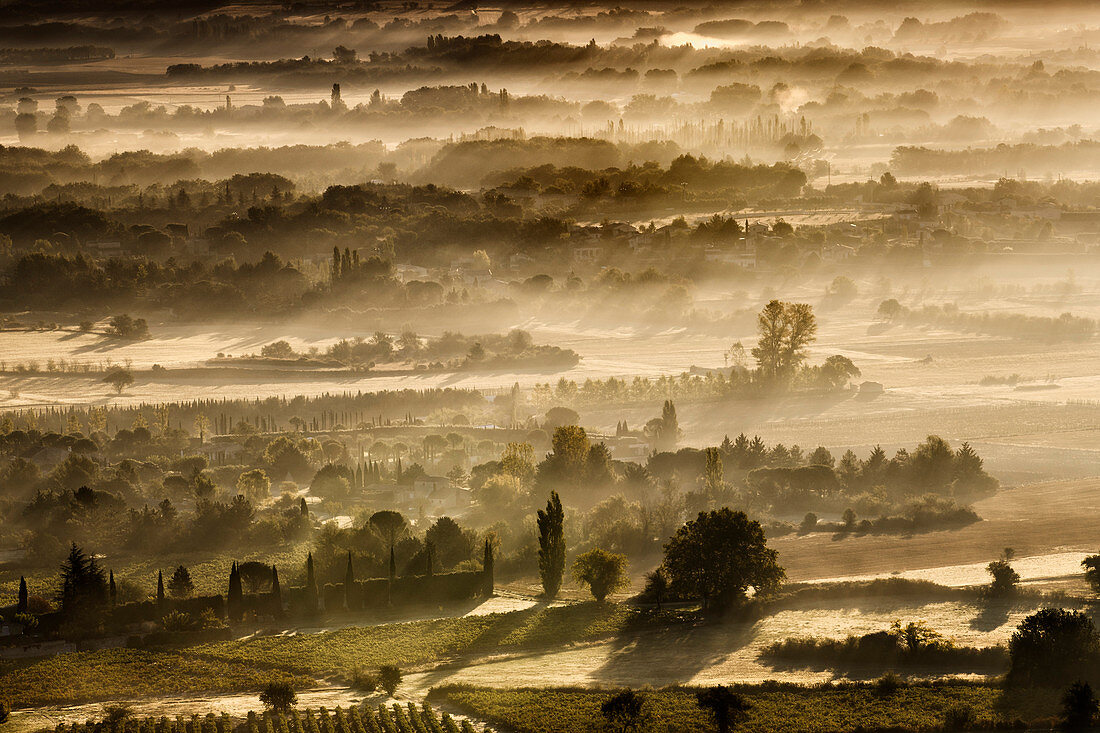 Herbstliche Morgendämmerung mit Nebel zwischen den Feldern und Bäumen im Luberon-Tal, Vaucluse, Provence, Frankreich, Europa