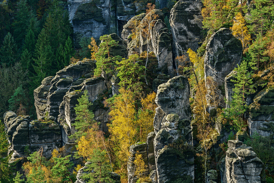Rock towers in the Elbe Sandstone Mountains, Bastei, Elbe Sandstone Mountains, Saxon Switzerland National Park, Saxon Switzerland, Saxony, Germany