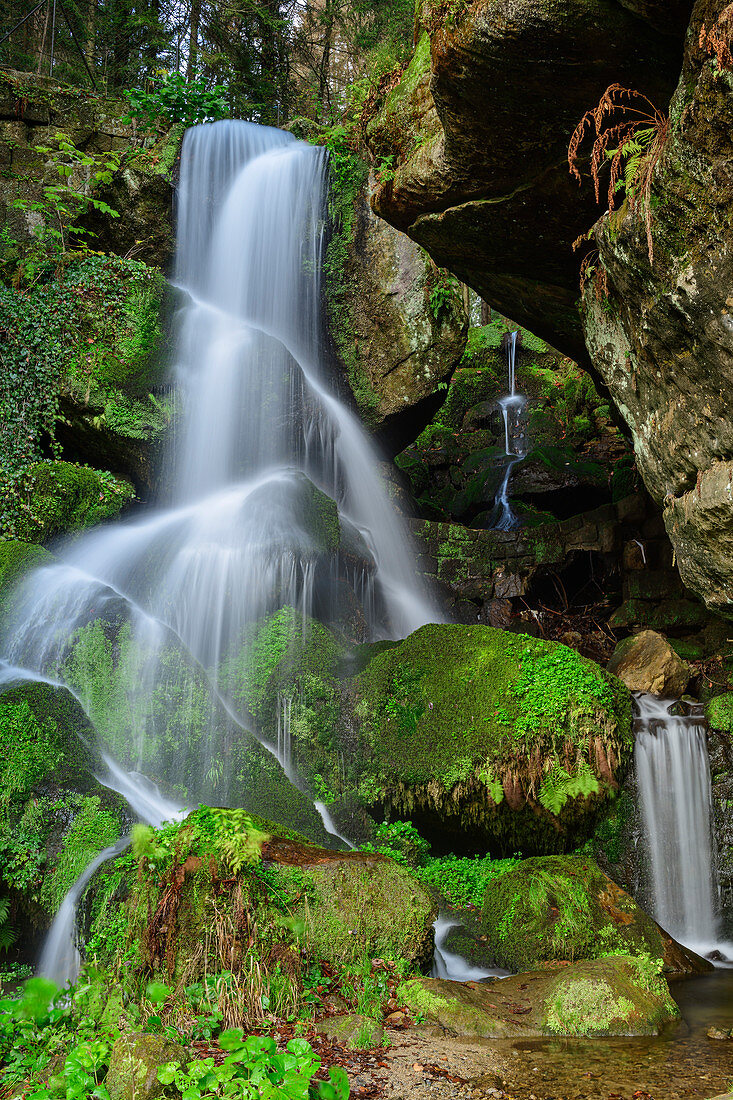 Lichtenhain Waterfall, Kirnitzschtal, Elbe Sandstone Mountains, Saxon Switzerland National Park, Saxon Switzerland, Saxony, Germany