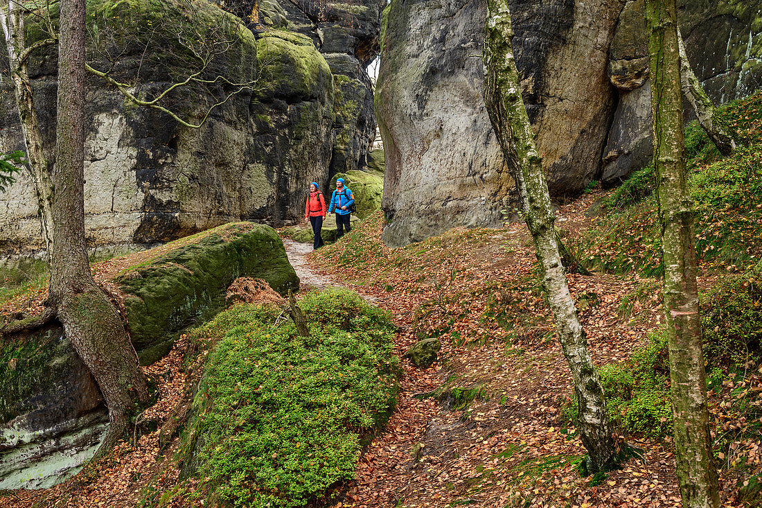 Mann und Frau wandern im Elbsandsteingebirge, Affenstein, Obere Affensteinpromenade, Elbsandsteingebirge, Nationalpark Sächsische Schweiz, Sächsische Schweiz, Sachsen, Deutschland