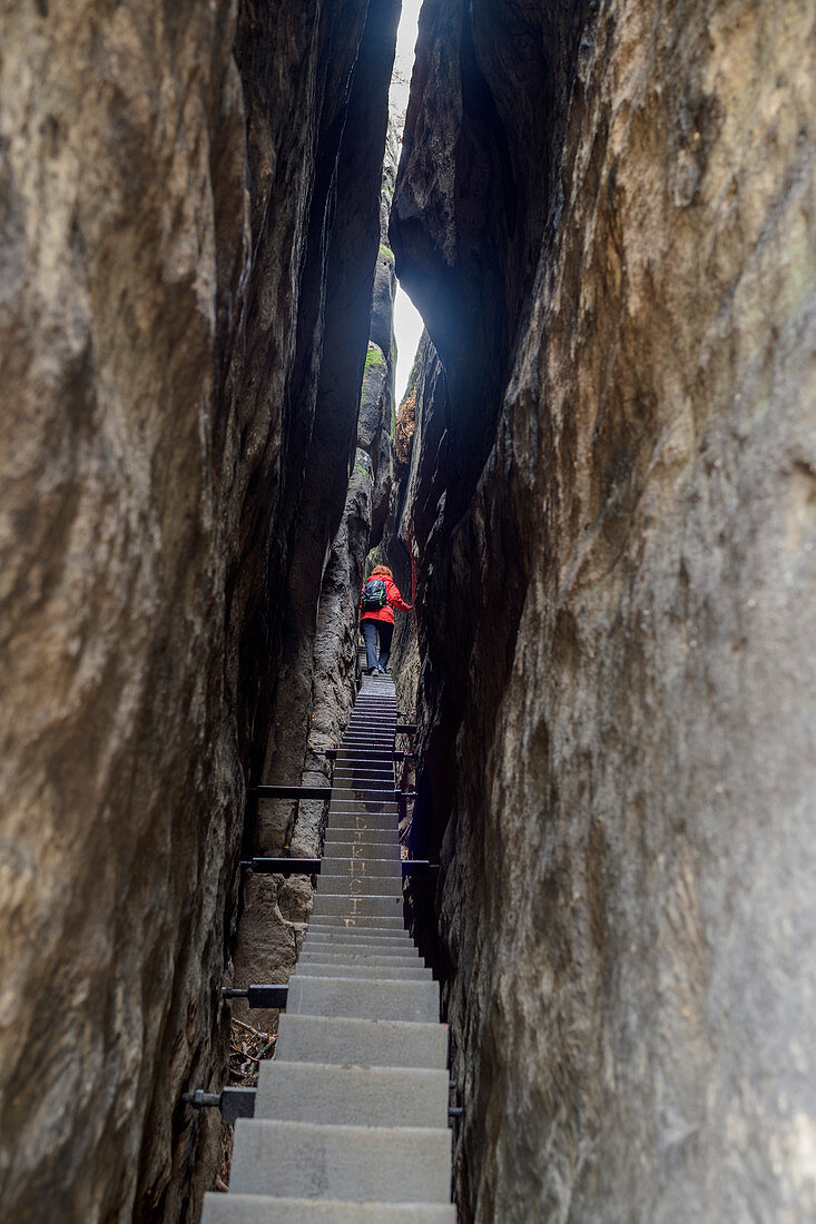 Woman climbs up stairs through rock gorge, Himmelsleiter, Kuhstall, Kirnitzschtal, Elbsandsteingebirge, Saxon Switzerland National Park, Saxon Switzerland, Saxony, Germany